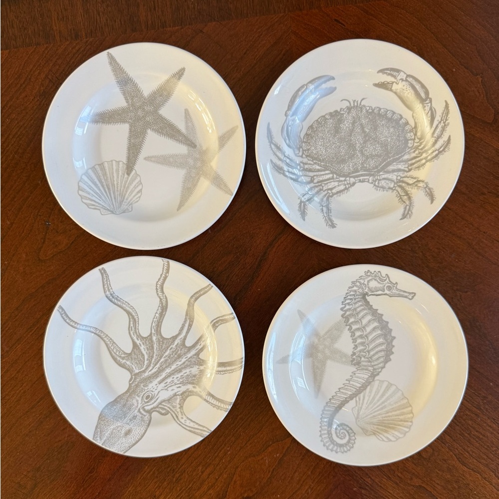 Nautical Themed Coastal life pattern White and Silver desert  Plate Set